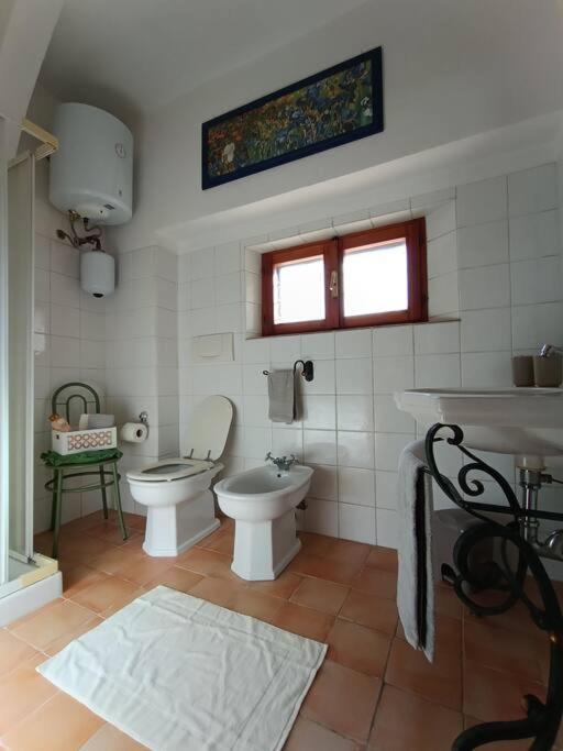 Monolocale Piccolominiuno Apartment