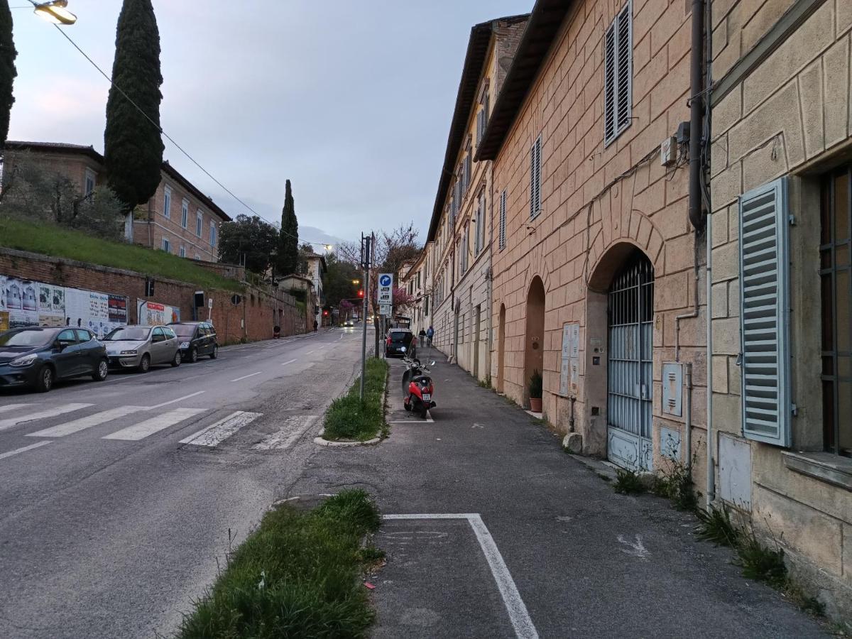 Monolocale Piccolominiuno Apartment Siena